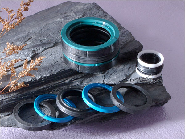德國(guó)骨架油封品牌 進(jìn)口德國(guó)油封 進(jìn)口骨架油封